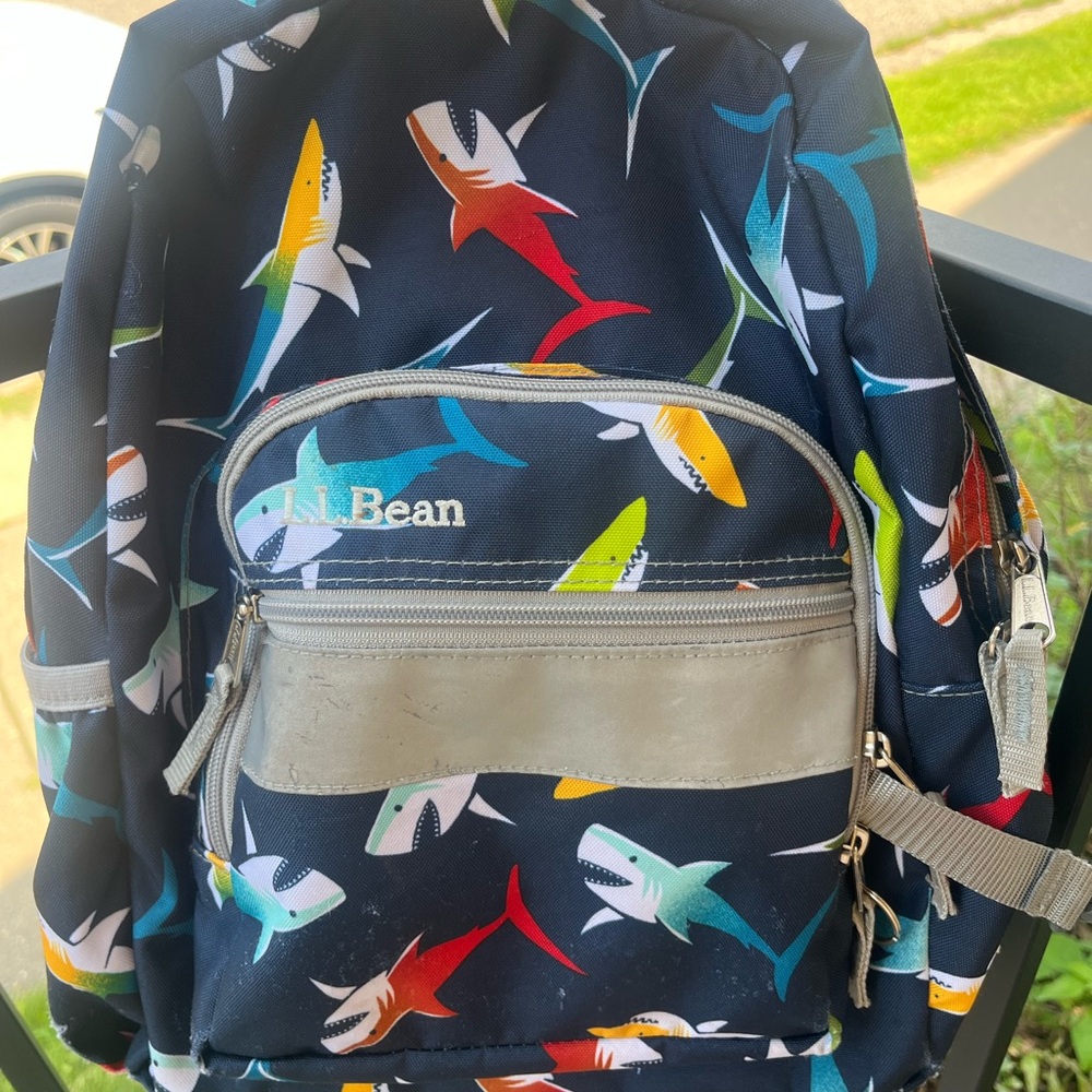 L.L. Bean backpack (small).